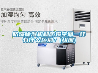 企業(yè)新聞防爆除濕機(jī)和防爆空調(diào)一樣有什么區(qū)別？(組圖)