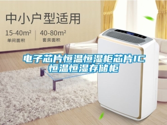 知識(shí)百科電子芯片恒溫恒濕柜芯片IC恒溫恒濕存儲(chǔ)柜