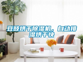 行業(yè)新聞豆豉烘干除濕機，自動排濕烘干快