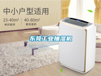 企業新聞東莞工業抽濕機