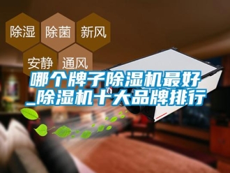 企業(yè)新聞哪個(gè)牌子除濕機(jī)最好_除濕機(jī)十大品牌排行