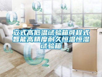 知識(shí)百科立式高低溫試驗(yàn)箱可程式智能高精度耐久恒溫恒濕試驗(yàn)箱
