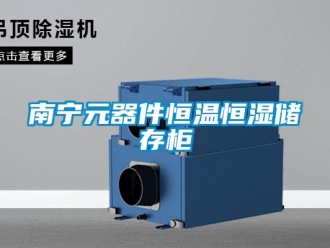 知識(shí)百科南寧元器件恒溫恒濕儲(chǔ)存柜
