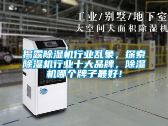 企業新聞揭露除濕機行業亂象，探索除濕機行業十大品牌，除濕機哪個牌子最好！