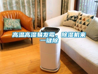 行業新聞高溫高濕易發霉，除濕機來一鍵除