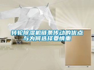 常見問題轉(zhuǎn)輪除濕機(jī)鏈條傳動的優(yōu)點與為何選擇要慎重