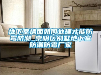企業(yè)新聞地下室墻面如何處理才能防霉防潮_崇明區(qū)別墅地下室防潮防霉廠家