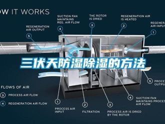 企業(yè)新聞三伏天防濕除濕的方法