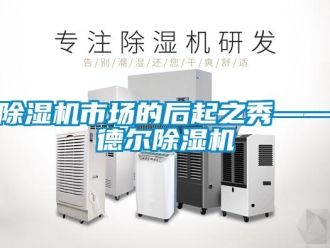 企業(yè)新聞除濕機(jī)市場(chǎng)的后起之秀——德?tīng)柍凉駲C(jī)