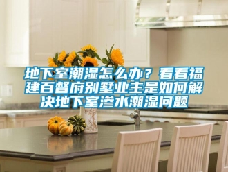 企業新聞地下室潮濕怎么辦？看看福建百督府別墅業主是如何解決地下室滲水潮濕問題
