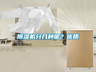 行業新聞除濕機分幾種呢？優質