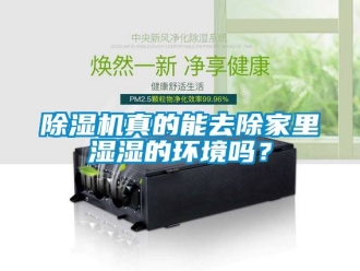 行業(yè)新聞除濕機(jī)真的能去除家里濕濕的環(huán)境嗎？