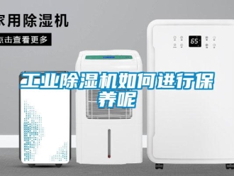 常見問題工業(yè)除濕機(jī)如何進(jìn)行保養(yǎng)呢