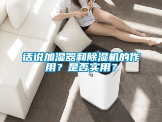 行業新聞話說加濕器和除濕機的作用？是否實用？