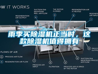 知識百科雨季買除濕機正當時，這款除濕機值得擁有