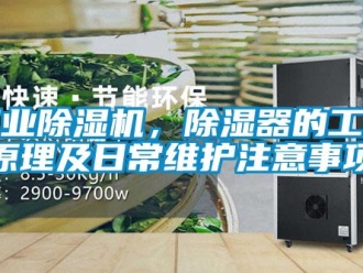 企業(yè)新聞工業(yè)除濕機(jī)，除濕器的工作原理及日常維護(hù)注意事項(xiàng)