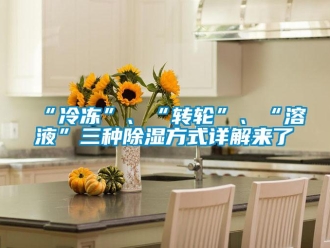 常見問題“冷凍”、“轉(zhuǎn)輪”、“溶液”三種除濕方式詳解來了