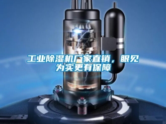 企業(yè)新聞工業(yè)除濕機(jī)廠家直銷，眼見為實(shí)更有保障