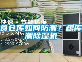企業(yè)新聞糧食倉庫如何防潮？糧庫防潮除濕機