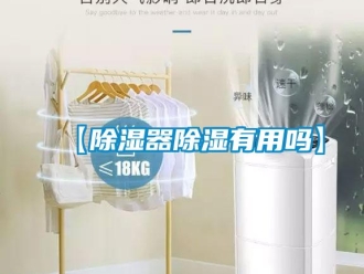 企業新聞【除濕器除濕有用嗎】