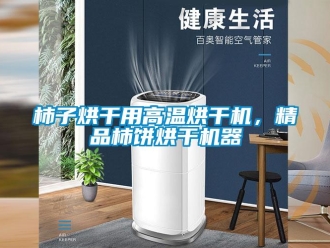 知識百科柿子烘干用高溫烘干機，精品柿餅烘干機器
