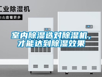 知識百科室內除濕選對除濕機，才能達到除濕效果