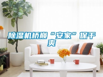 企業新聞除濕機橋巔“安家”保干爽