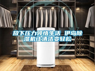 企業(yè)新聞放下壓力領(lǐng)悟生活 伊島除濕機(jī)讓清潔變輕松