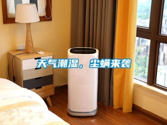 知識百科天氣潮濕，塵螨來襲