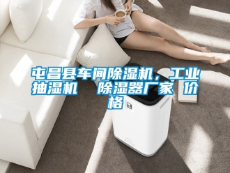 企業新聞屯昌縣車間除濕機，工業抽濕機  除濕器廠家 價格