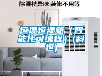 知識百科恒溫恒濕箱（智能化可編程）(科恒)