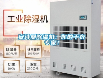 企業(yè)新聞安詩(shī)曼除濕機(jī)：你的干衣專家！