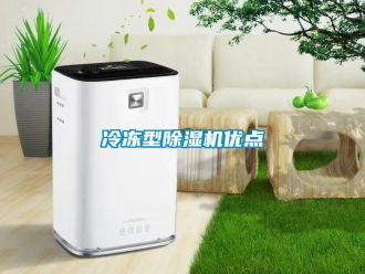行業(yè)新聞冷凍型除濕機優(yōu)點