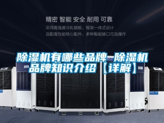 企業(yè)新聞除濕機(jī)有哪些品牌 除濕機(jī)品牌知識介紹【詳解】
