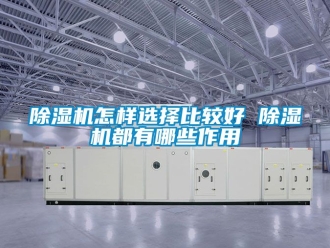 行業新聞除濕機怎樣選擇比較好 除濕機都有哪些作用