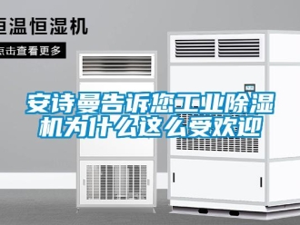 企業(yè)新聞安詩(shī)曼告訴您工業(yè)除濕機(jī)為什么這么受歡迎