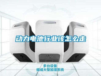 常見問題動(dòng)力電池行業(yè)該怎么走