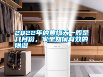 常見問題2022年的黃梅天一般是幾月份，家里如何有效的除濕