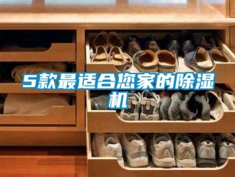 企業(yè)新聞5款最適合您家的除濕機(jī)