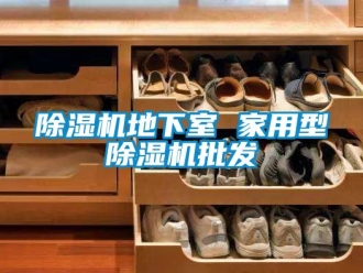 常見問題除濕機(jī)地下室 家用型除濕機(jī)批發(fā)