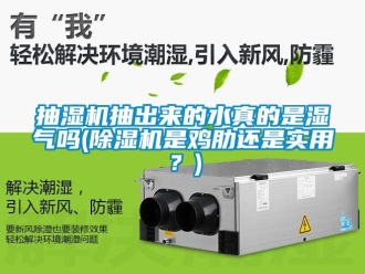 企業新聞抽濕機抽出來的水真的是濕氣嗎(除濕機是雞肋還是實用？)