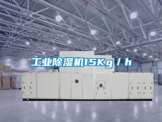 企業(yè)新聞工業(yè)除濕機(jī)15Kg／h
