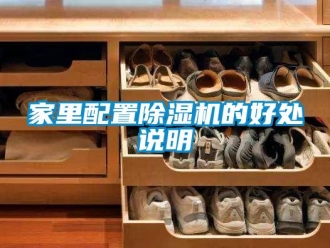 行業(yè)新聞家里配置除濕機(jī)的好處說明