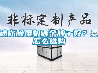 行業新聞迷你除濕機哪個牌子好？要怎么選購