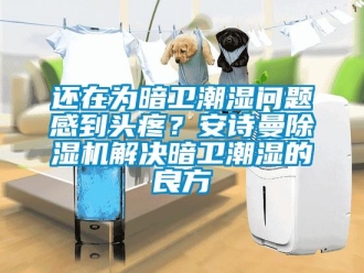 企業新聞還在為暗衛潮濕問題感到頭疼？安詩曼除濕機解決暗衛潮濕的良方