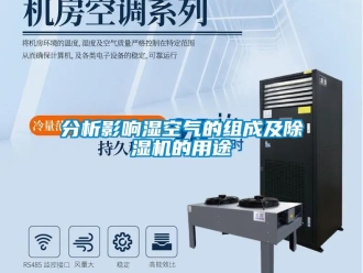 企業(yè)新聞分析影響濕空氣的組成及除濕機的用途