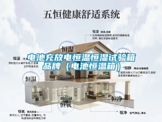 知識(shí)百科電池充放電恒溫恒濕試驗(yàn)箱品牌（電池恒溫箱）