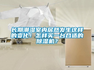 行業新聞長期潮濕室內居然發生這樣的變化！怎樣買一臺合適的除濕機？