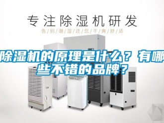 企業新聞除濕機的原理是什么？有哪些不錯的品牌？