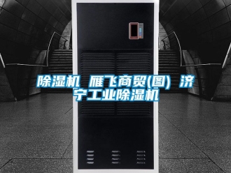 常見(jiàn)問(wèn)題除濕機(jī) 雁飛商貿(mào)(圖) 濟(jì)寧工業(yè)除濕機(jī)